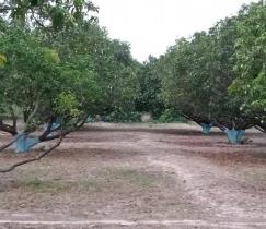 Halokhabar